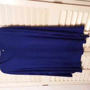 95°rayon 5° Spanx blue long sleeve top 5X
